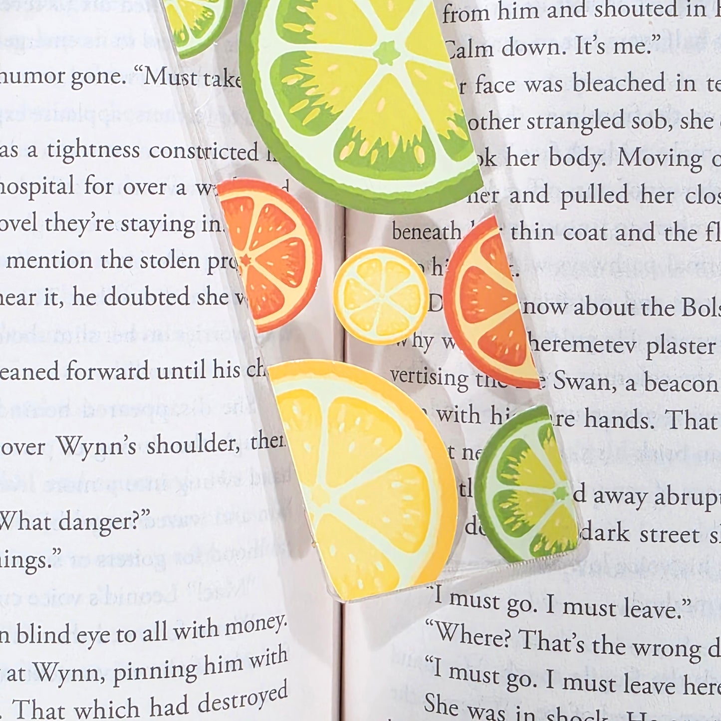 Citrus Mix Slices | Acrylic Bookmark