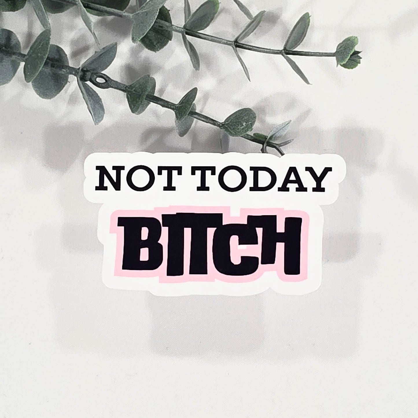Not Today Bitch | Vinyl Sticker