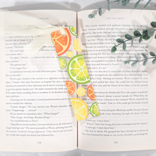 Citrus Mix Slices | Acrylic Bookmark