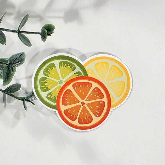 Orange, Lemon & Lime Slice | Vinyl Stiicker