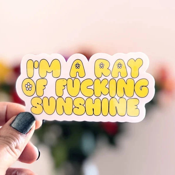 I'm a Ray of F*cking Sunshine